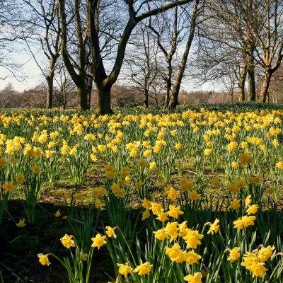Response to the Spring Statement
