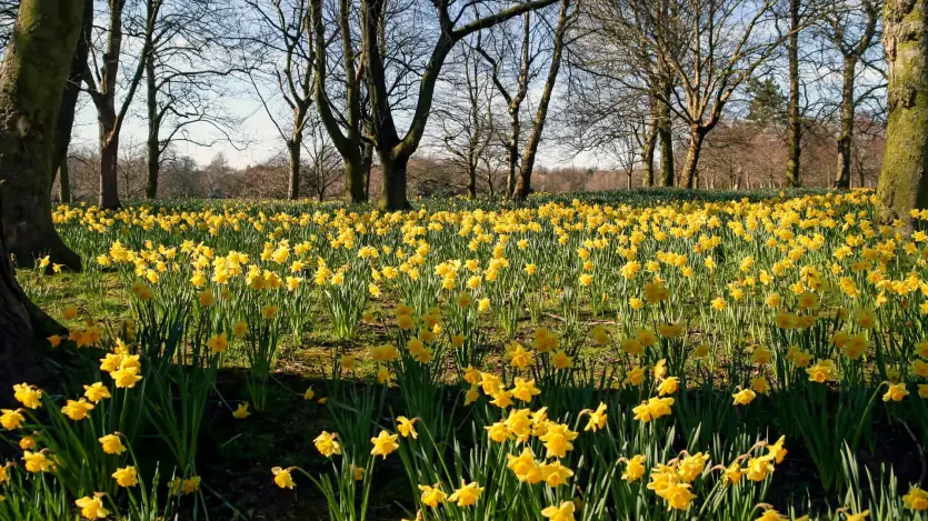 Response to the Spring Statement